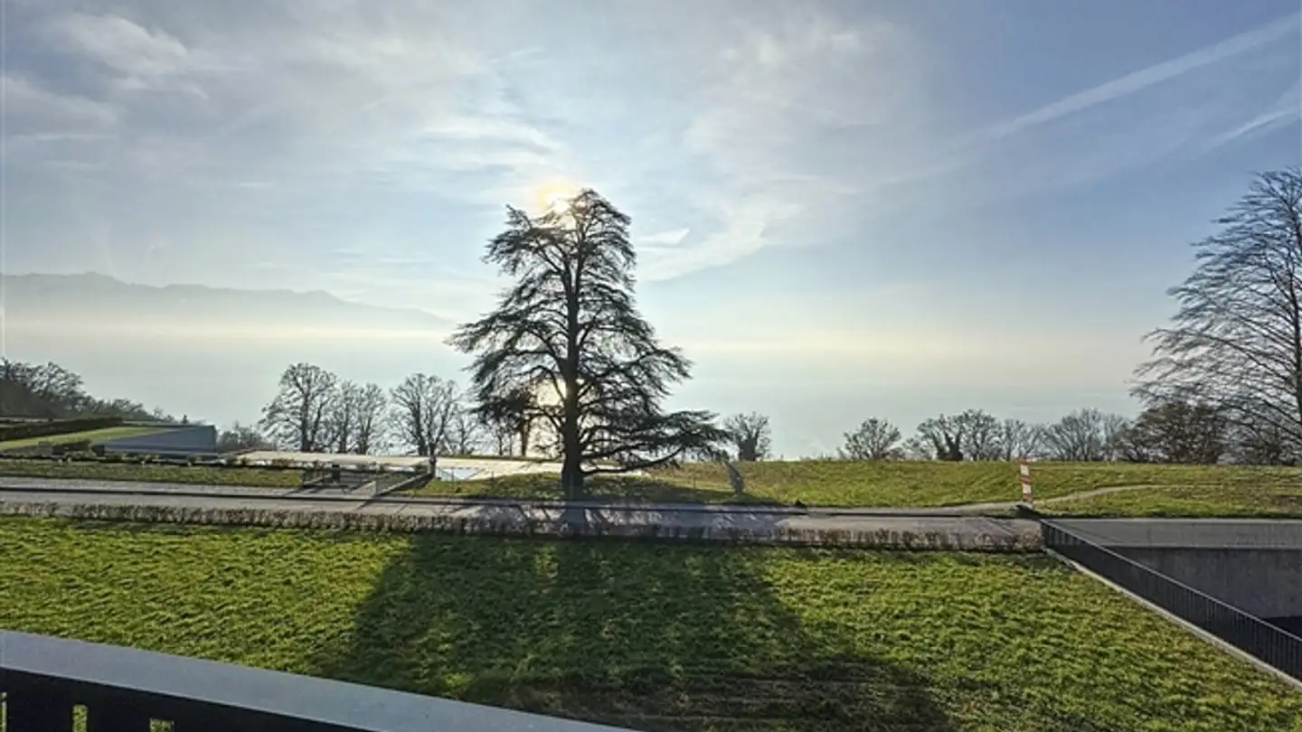 Appartement à vendre - 1070 Puidoux