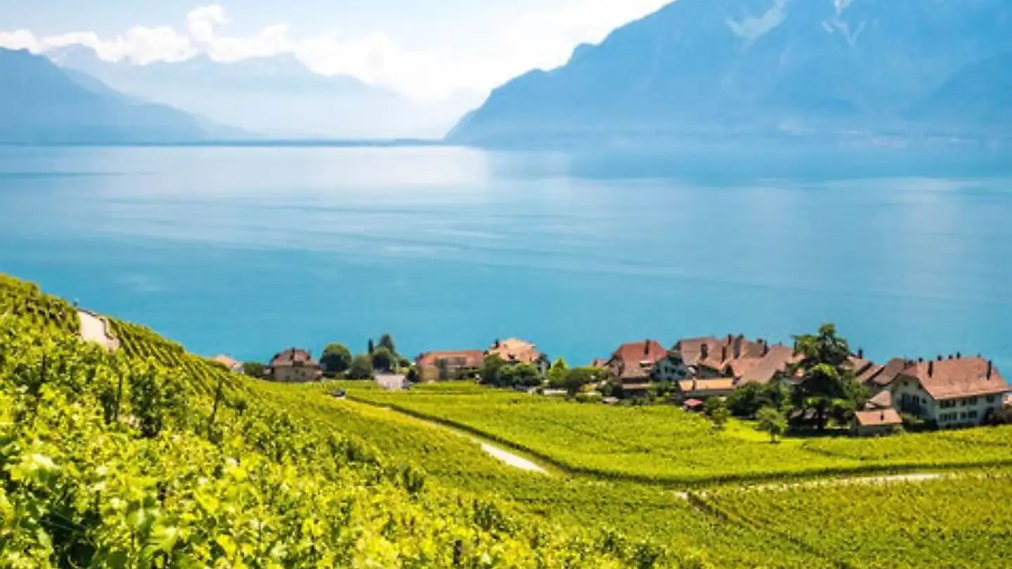 Single room for rent - 1003 Lausanne