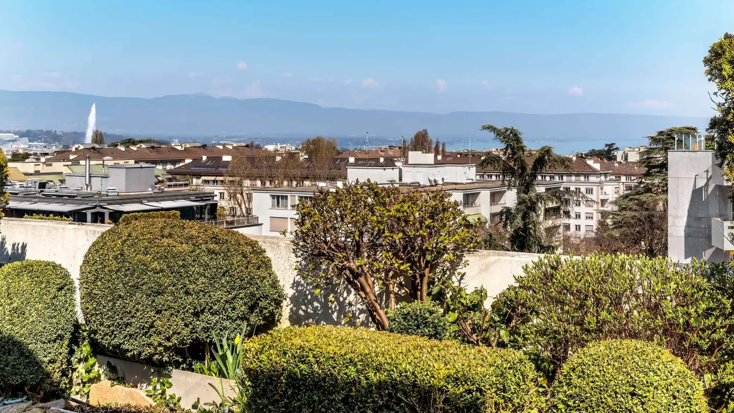 Attique à vendre - 1206 Genève - Photo 2