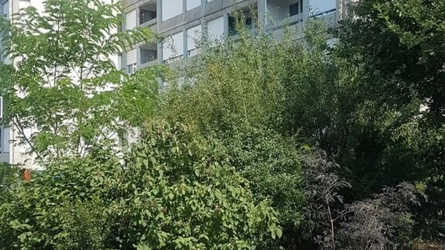 Apartment for rent - Chemin Du Vieux-Bureau 98, 1217 Meyrin