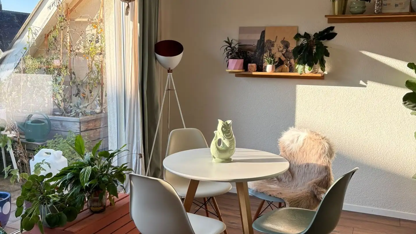 Appartement à louer - 8050 Zürich