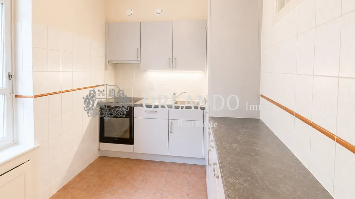 Apartment for rent - Rue Des Buis, 1202 Genève - Photo 4