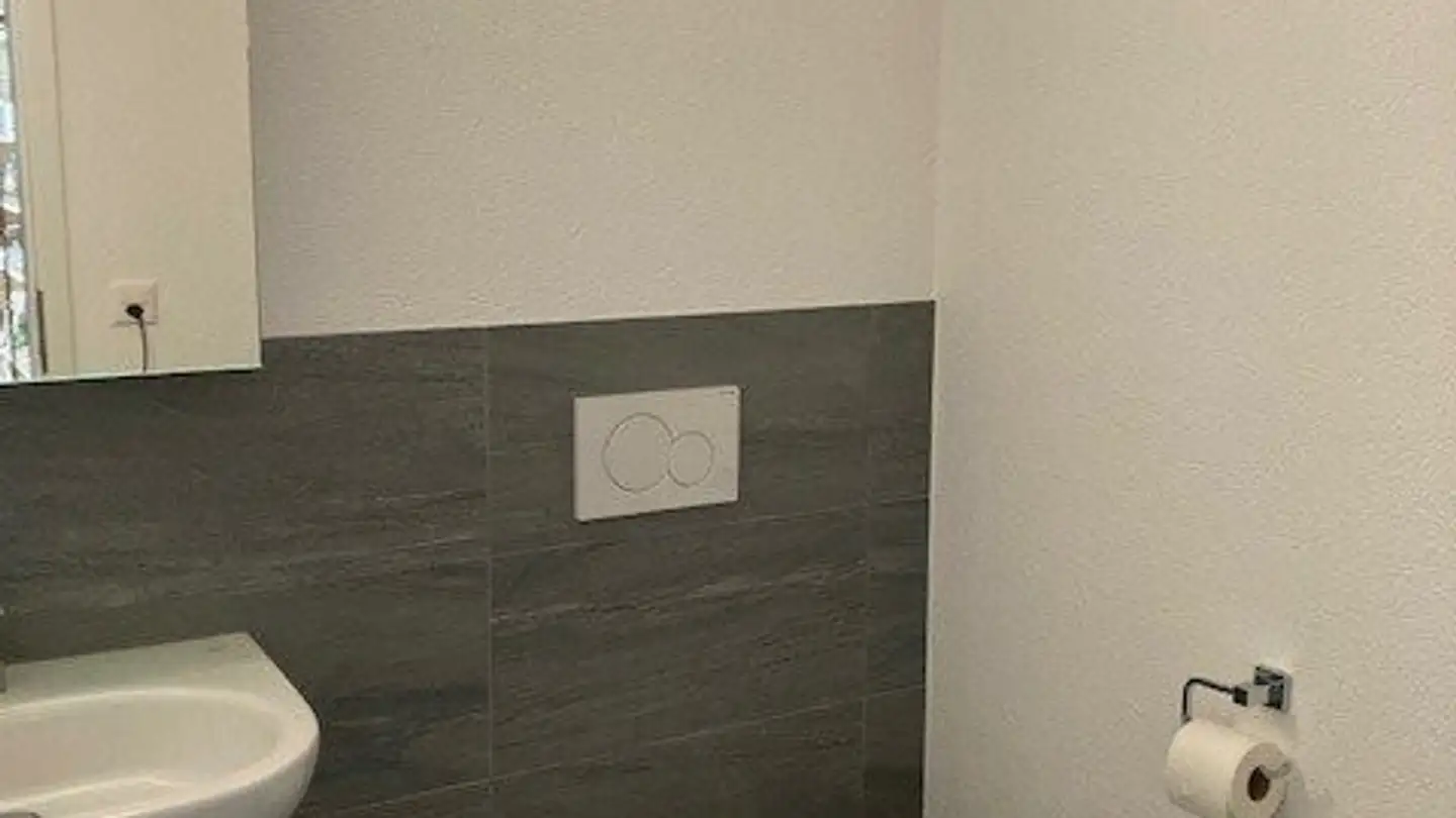 Commercial for rent - Amriswilerstrasse 43, 9320 Frasnacht - Photo 4