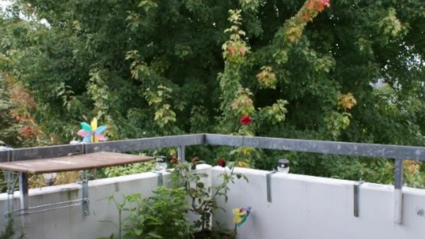 Appartamento in affitto - Wasserfuristrasse 31, 8542 Wiesendangen - Photo 2