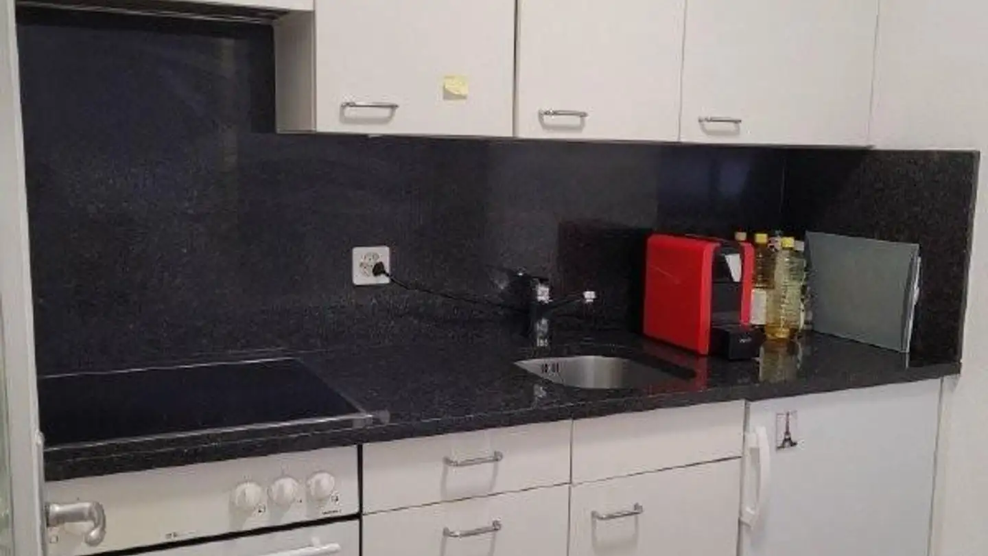 Appartamento in affitto - Moosstrasse 15, 6003 Luzern - Foto 2