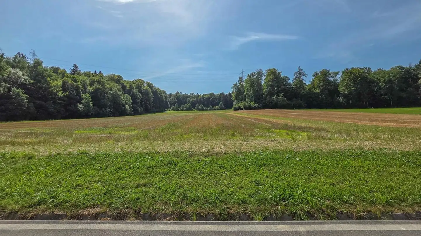 Single house for sale - 5242 Lupfig - Photo 3