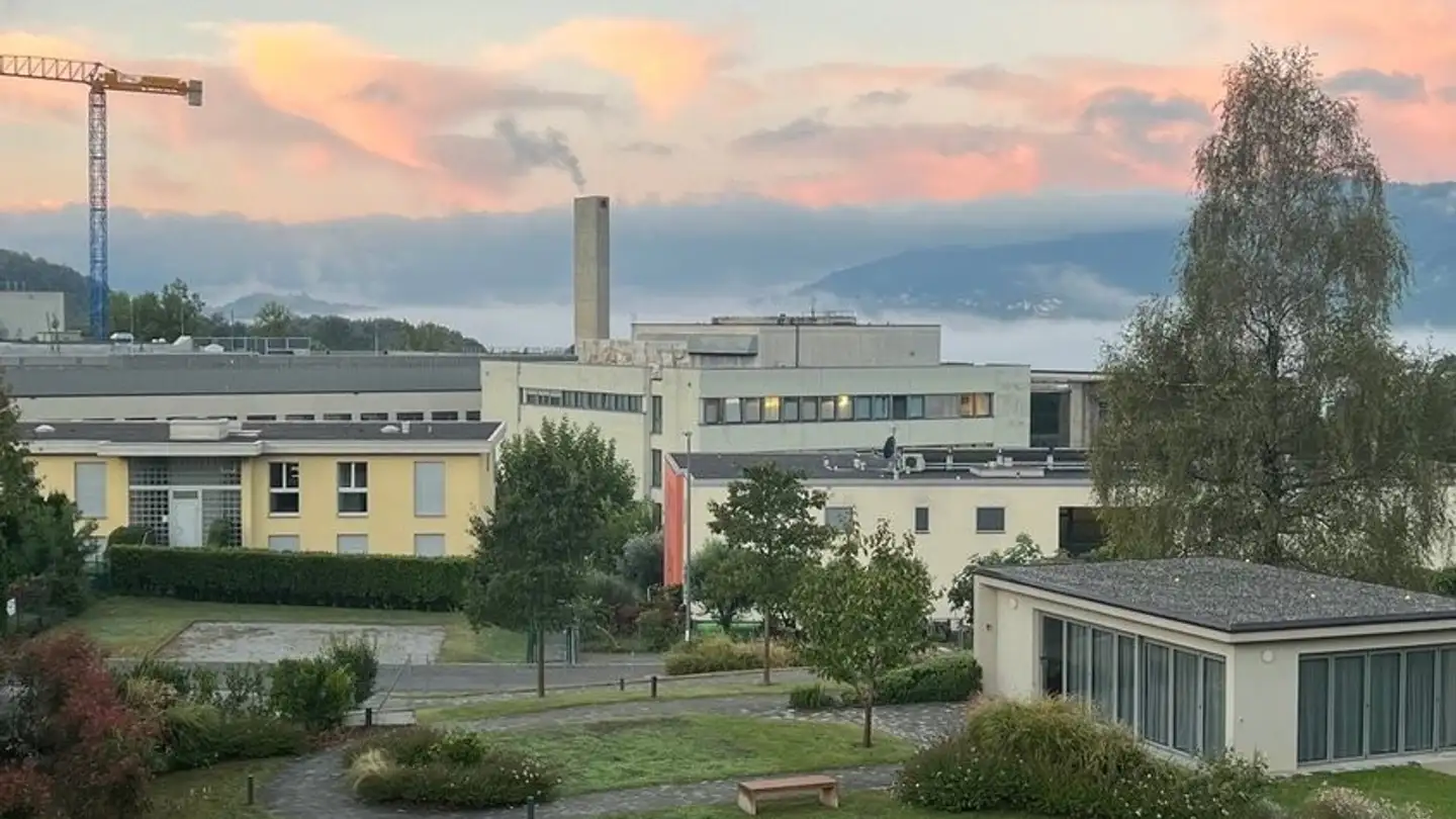 Appartement à louer - 6949 Comano - Photo 2