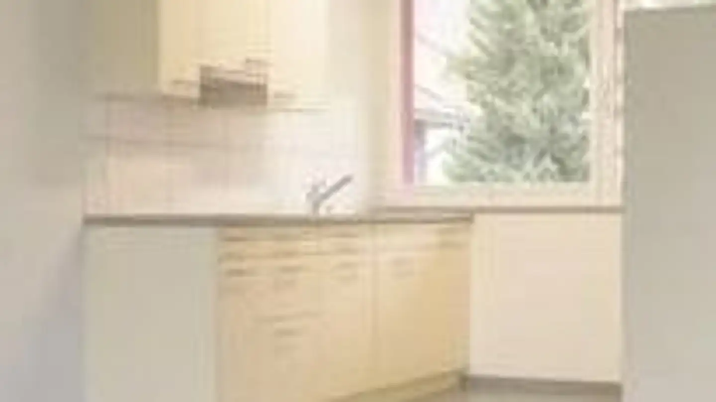 Apartment for rent - 5200 Brugg AG - Photo 3