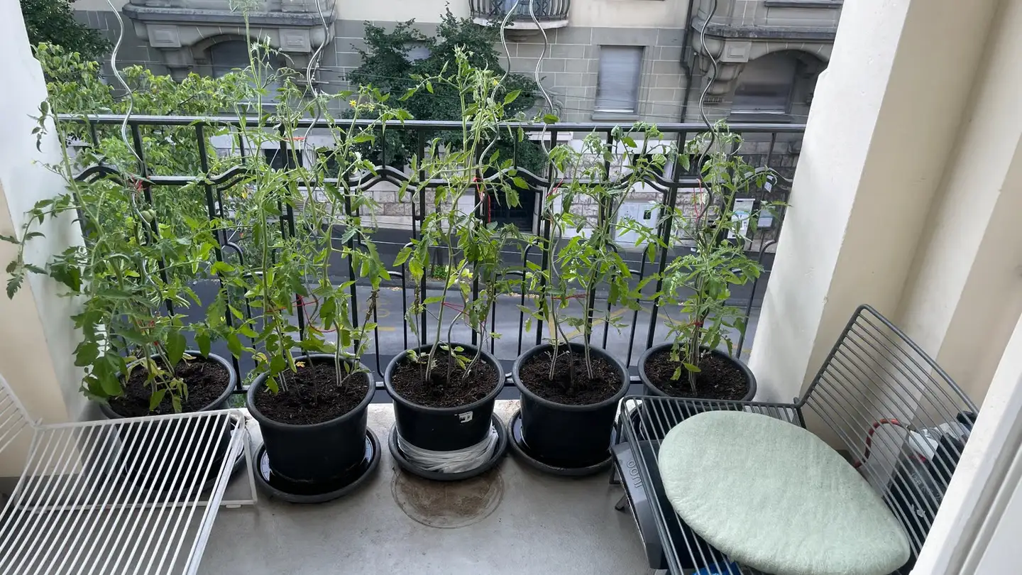 Appartamento in affitto - 1006 Lausanne - Foto 4