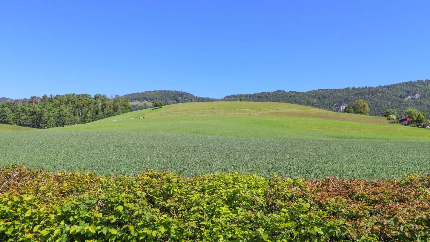 Maison individuelle à vendre - 4712 Laupersdorf - Photo 4