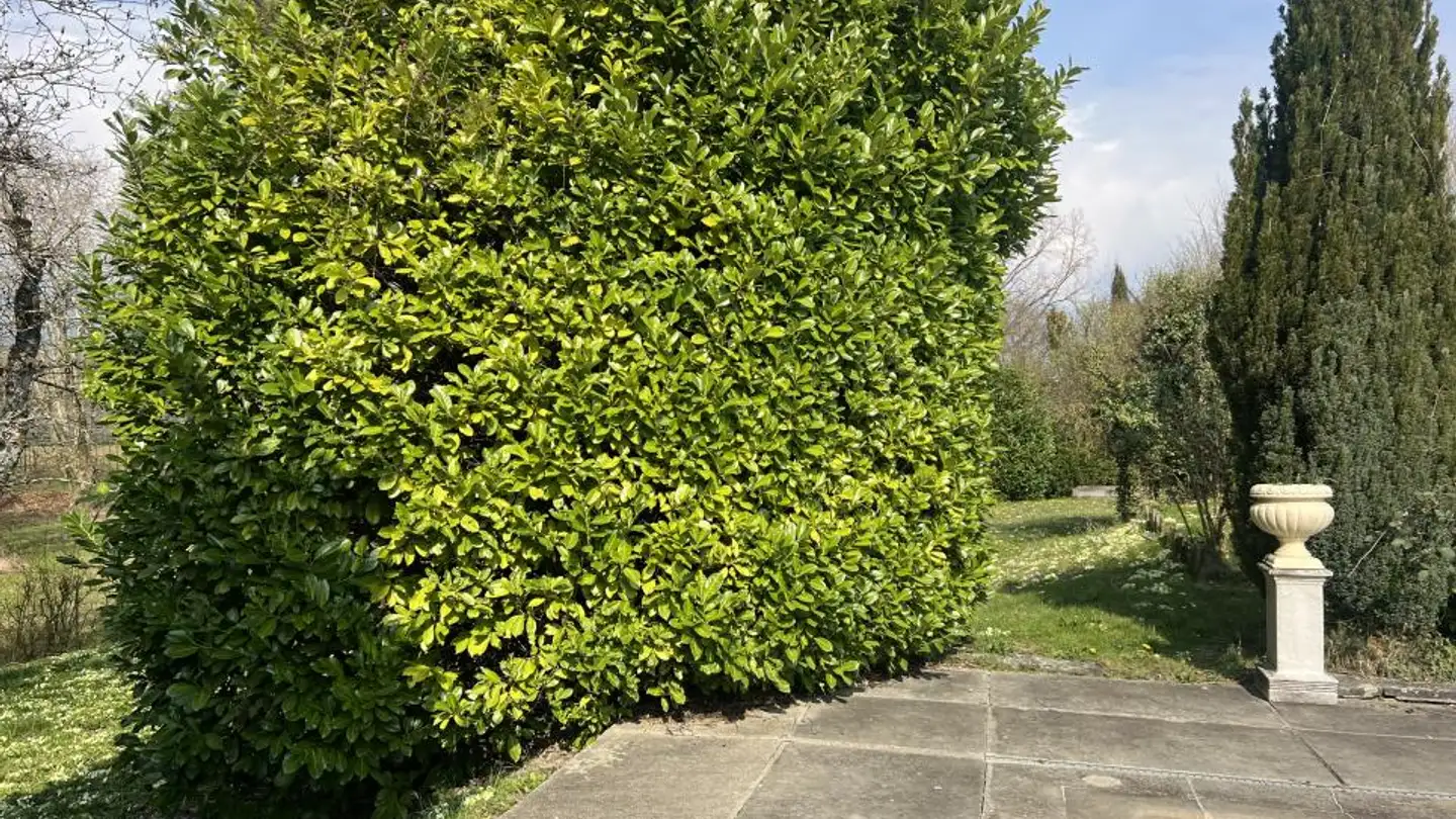 Villa in vendita - 1296 Coppet