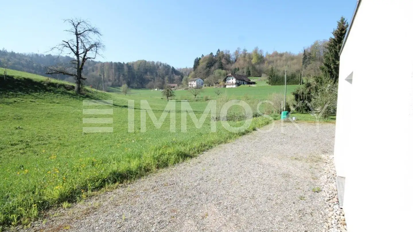 Commerciale in affitto - 5745 Safenwil