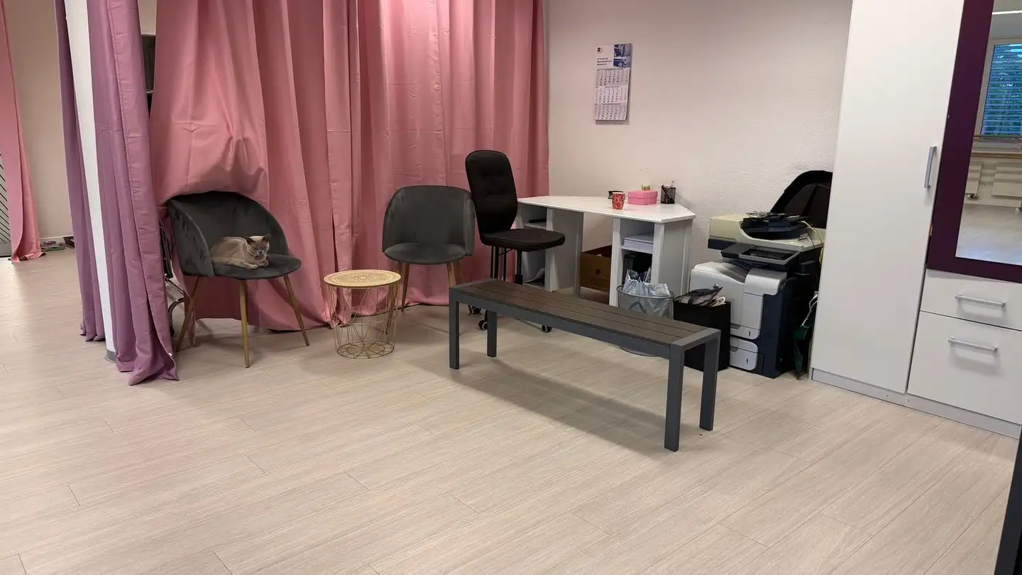 Atelier à louer - Hochstrasse, 8330 Pfäffikon ZH - Photo 3