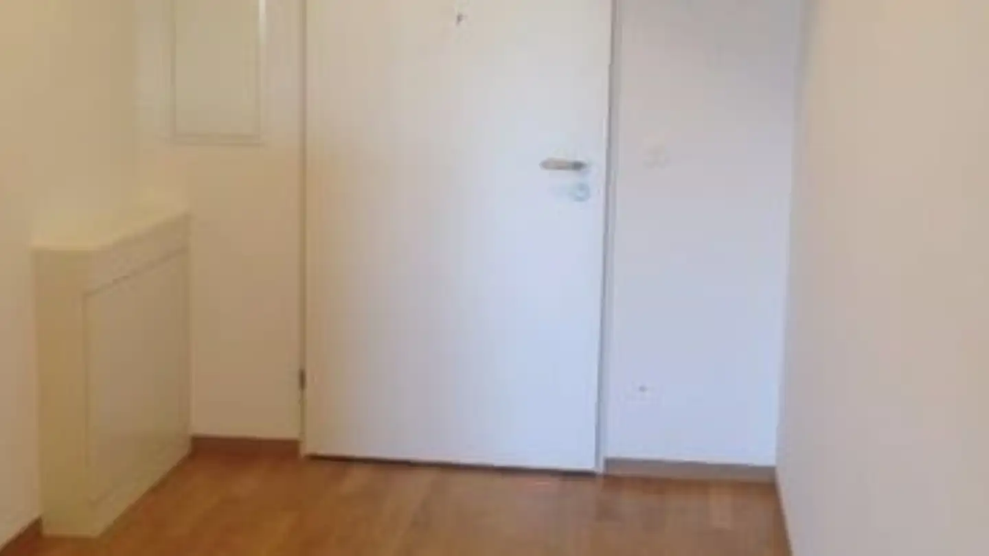 Studio for rent - Moosmatt, 8912 Obfelden - Photo 3