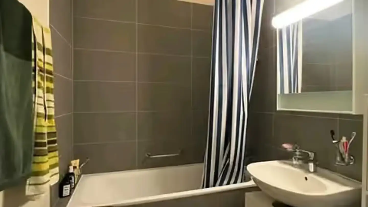 Appartement meublé à louer - Rue De-Candolle 12, 1205 Genève - Photo 3