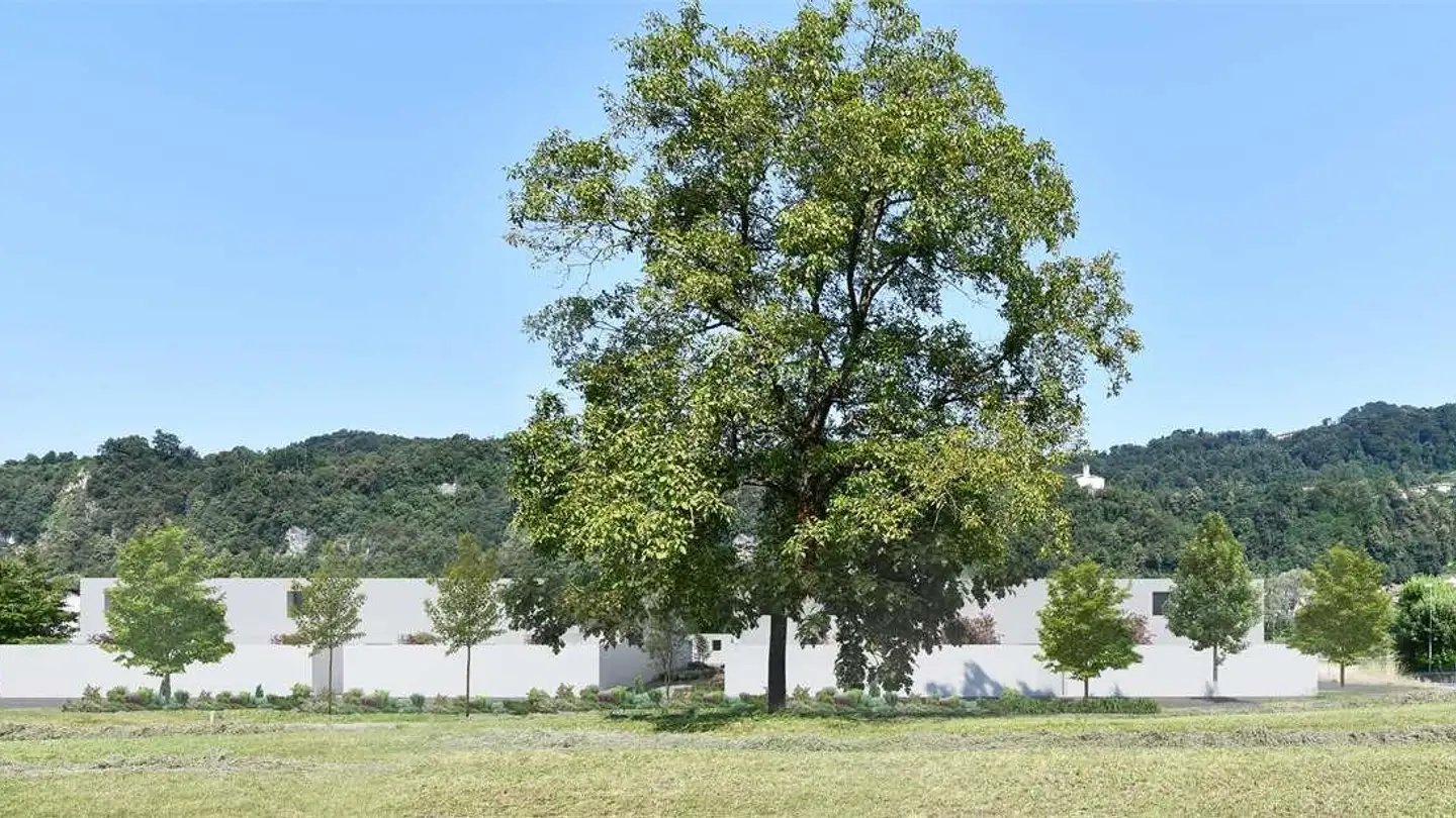 Appartamento ammobiliato in vendita - Via Barbengo, 6917 Barbengo