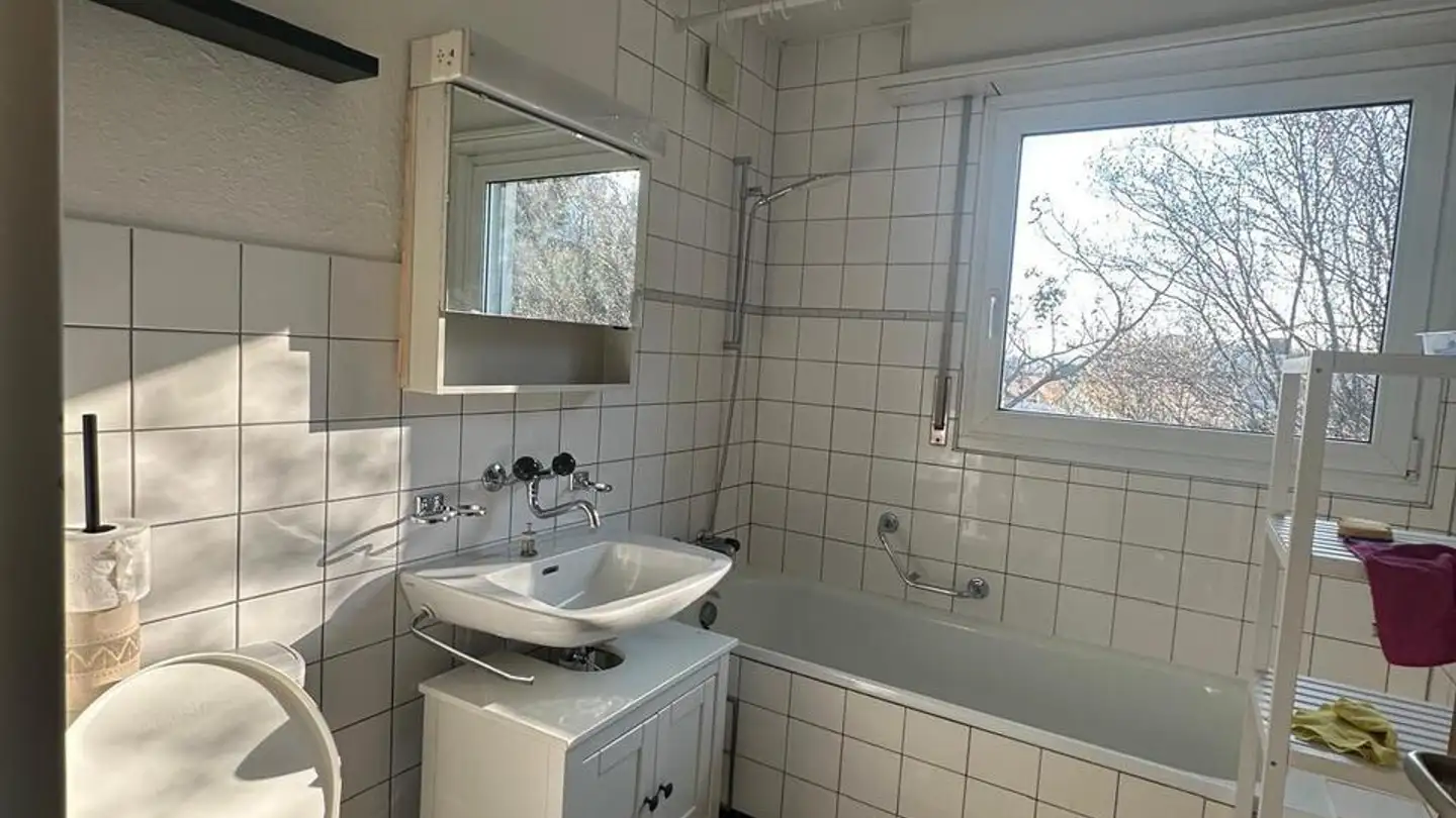 Appartement à louer - Am Zunftackerrain 33, 4133 Pratteln - Photo 4