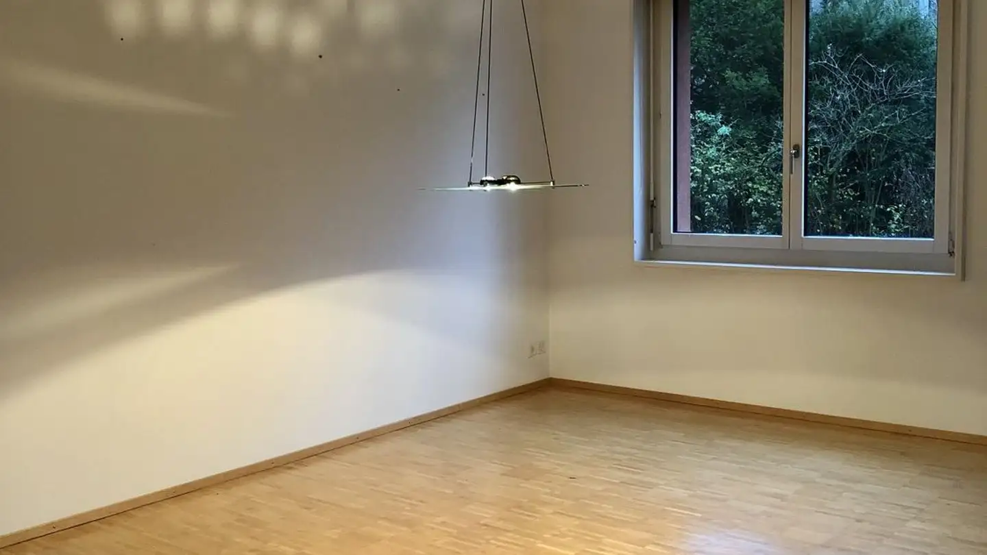 Apartment for rent - 4222 Zwingen - Photo 2