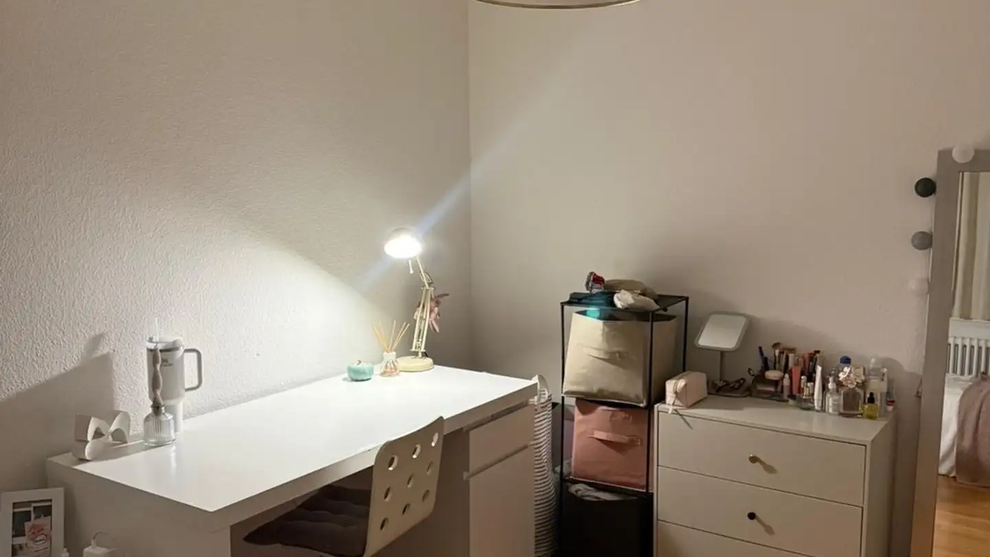 Zimmer mieten - Wallisellenstrasse 384, 8050 Zürich