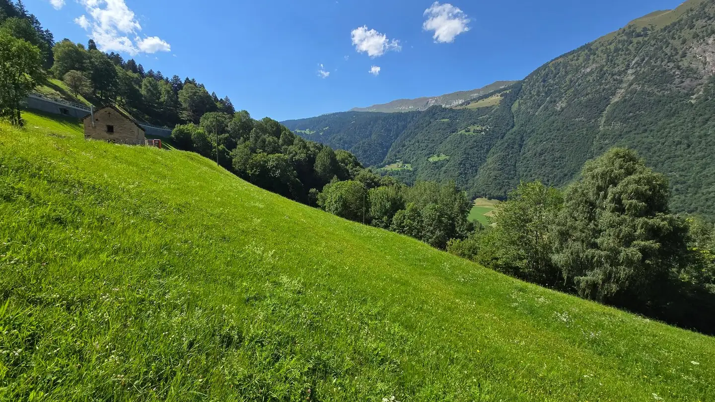 House for sale - 6718 Olivone - Photo 4