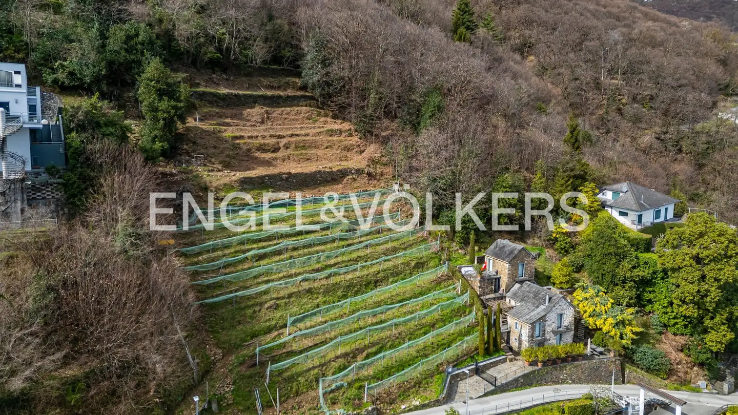 Constructible plot for sale - 6614 Brissago - Photo 4