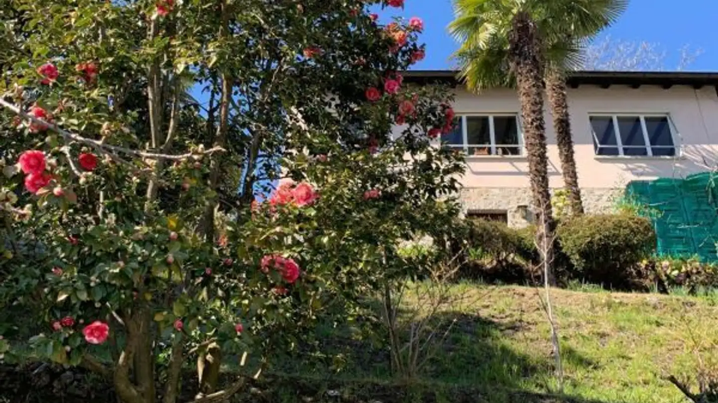 Casa singola in vendita - Via Patocchi, 6644 Orselina - Photo 3