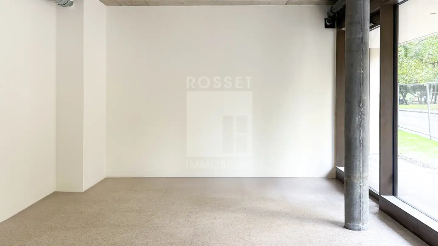 Commerciale in affitto - Rue Edouard- Rod 12, 1203 Genève - Photo 2