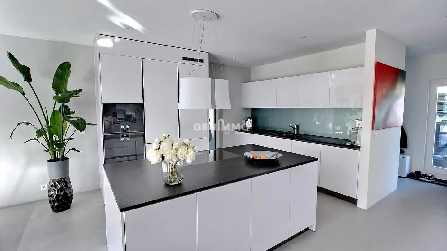 Stepped house for sale - 1256 Troinex