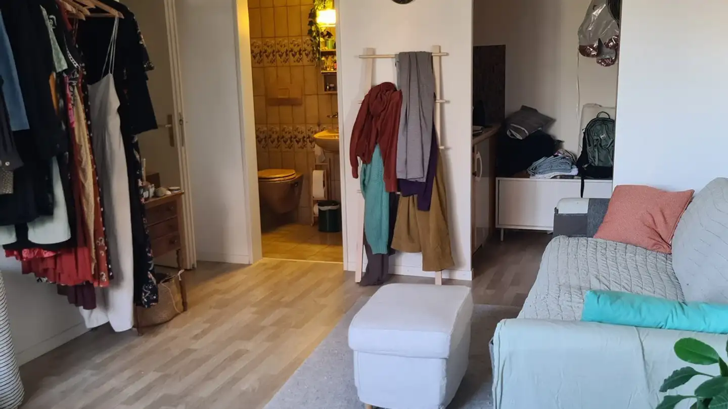 Appartamento in affitto - Tachlisbrunnenstrasse 23, 8400 Winterthur - Foto 2