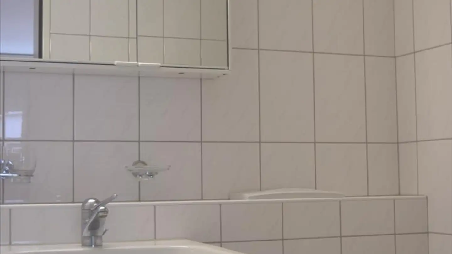 Appartamento in affitto - Im Sihlhof 23, 8134 Adliswil - Photo 4