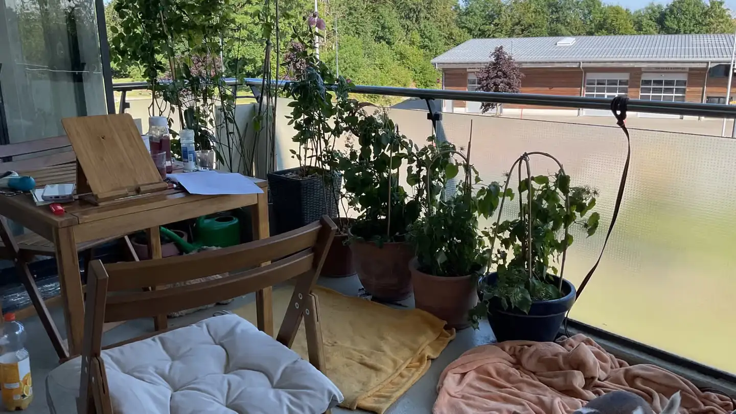 Appartement à louer - Chemin Du Finage 8, 2350 Saignelégier - Photo 2