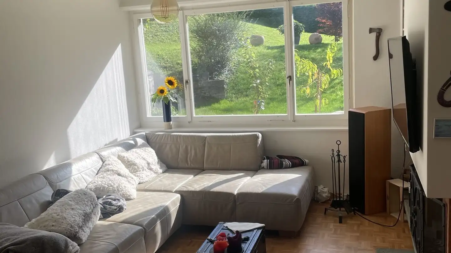 Chambre à louer - 8702 Zollikon