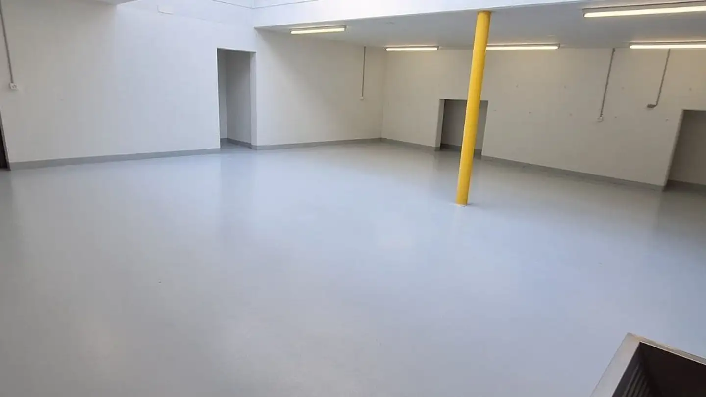 Espace de stockage à louer - Austrasse 59, 8953 Dietikon