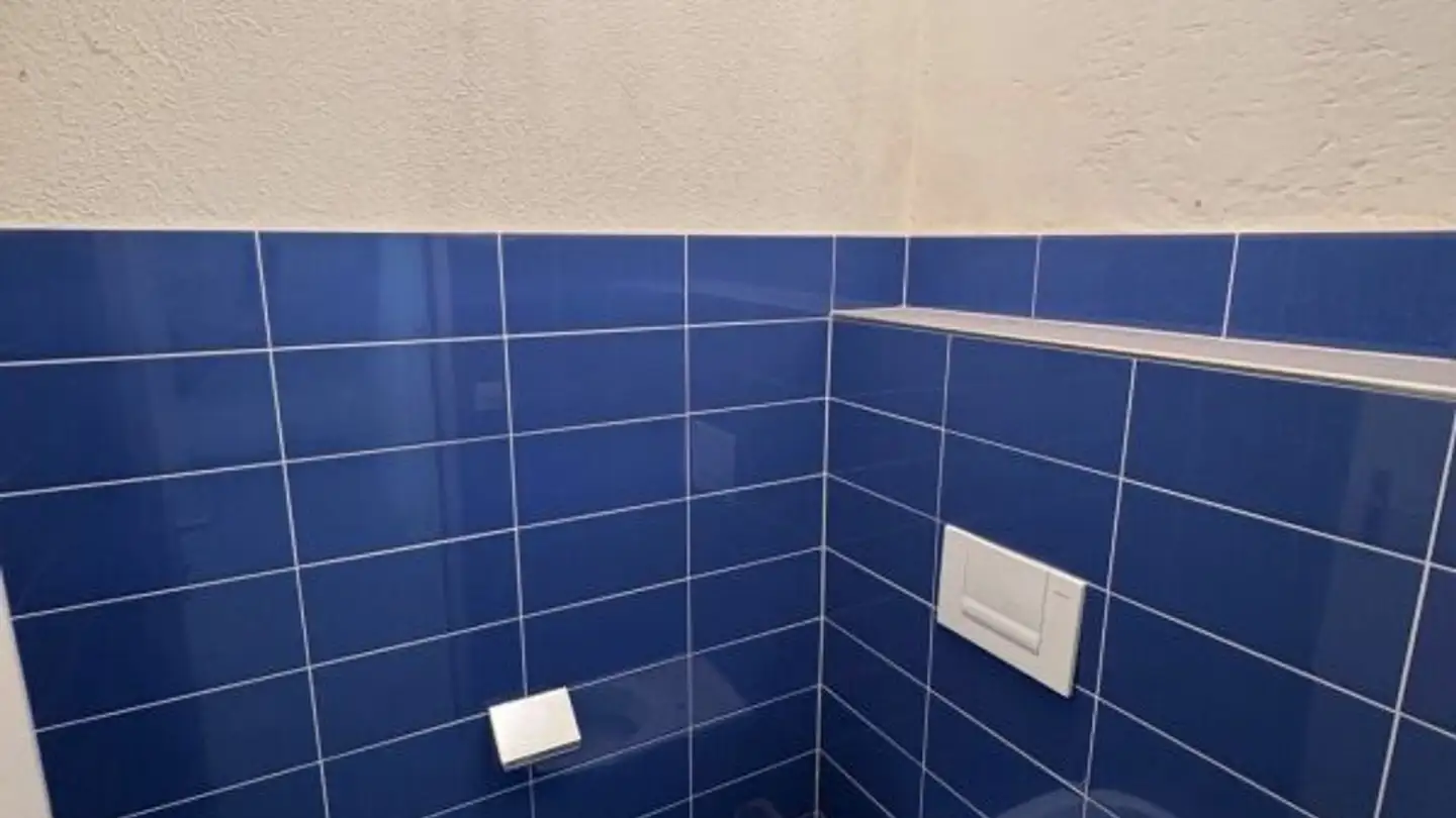 Werkstatt mieten - Untere Briggerstrasse 13, 8406 Winterthur - Foto 3