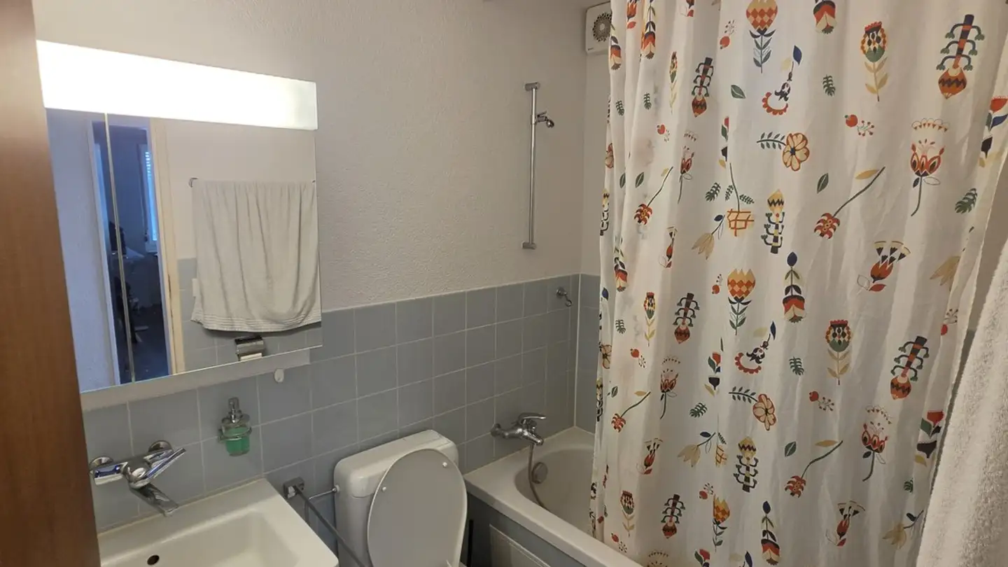 Chambre à louer - Am Wasser 135, 8049 Zürich