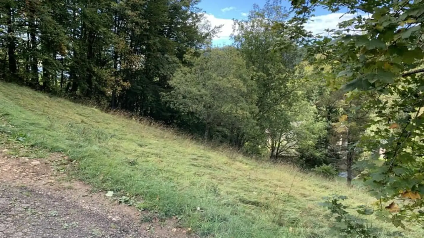 Terrain constructible à vendre - 1264 St-Cergue