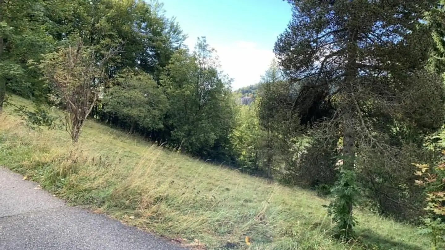 Terrain constructible à vendre - 1264 St-Cergue - Photo 2