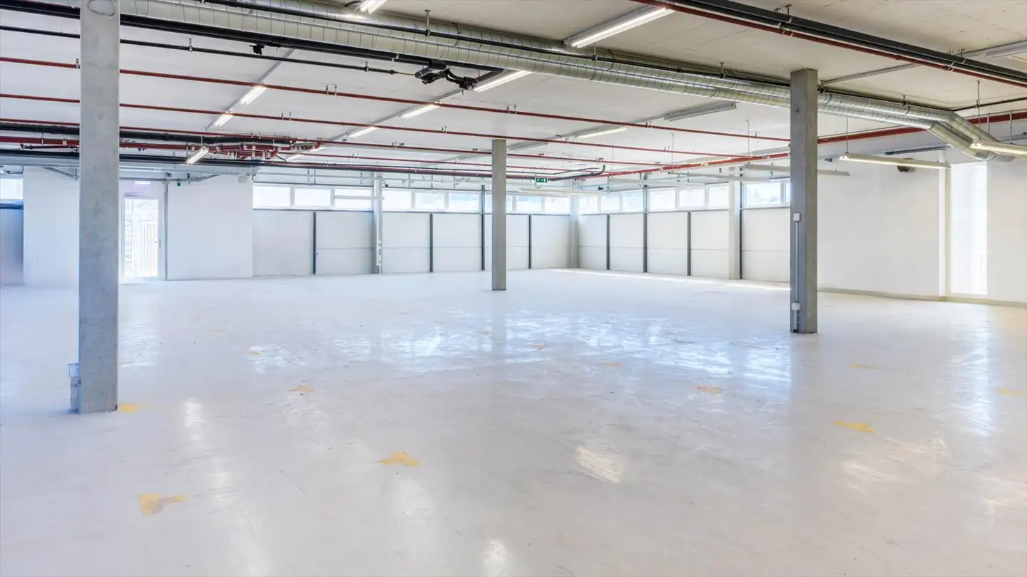 Commerciale in affitto - Route De La Galaise 12, 1228 Plan-les-Ouates - Photo 4