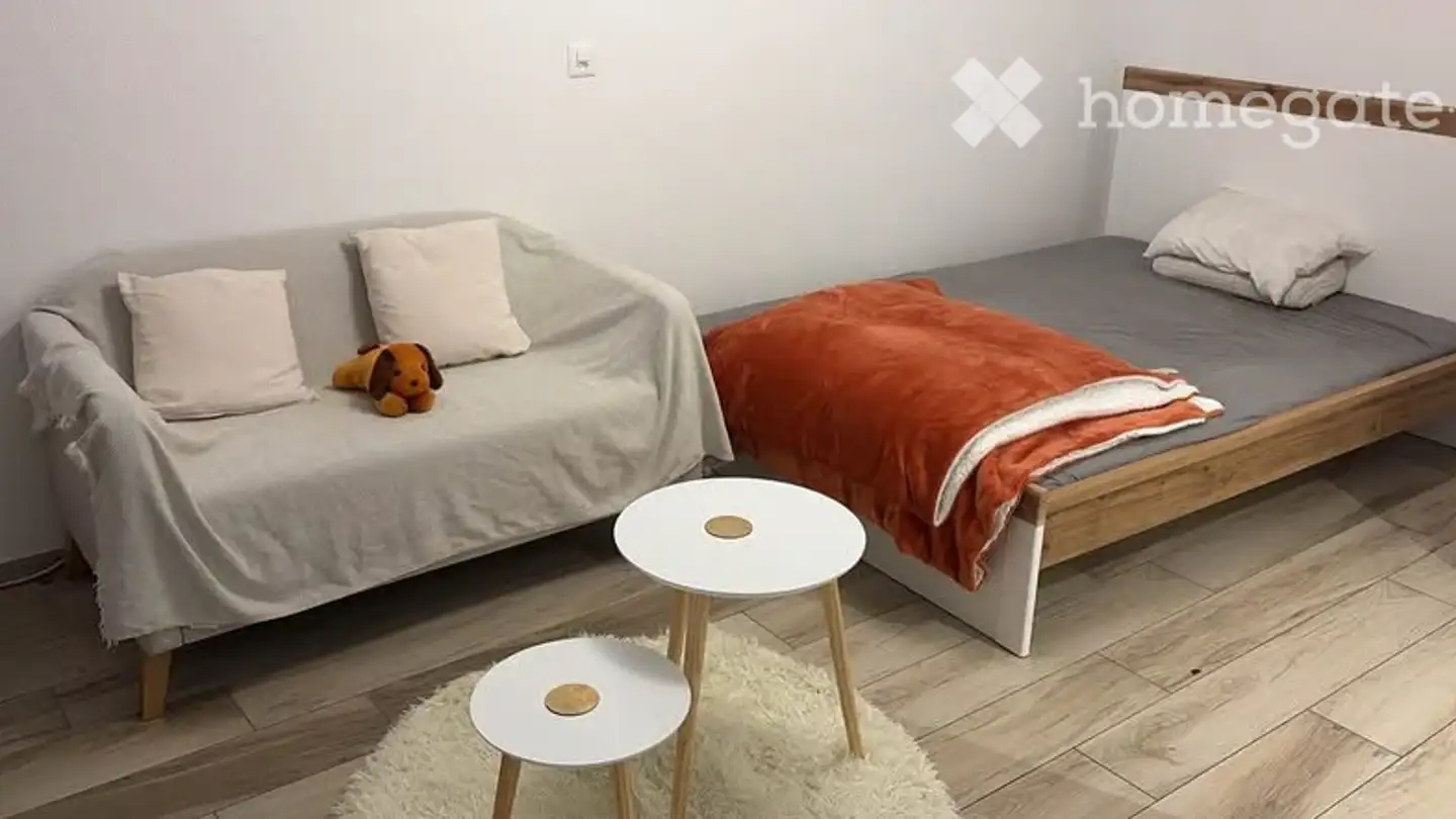 Appartamento in affitto - Rue Du Rocher 28, 2000 Neuchâtel
