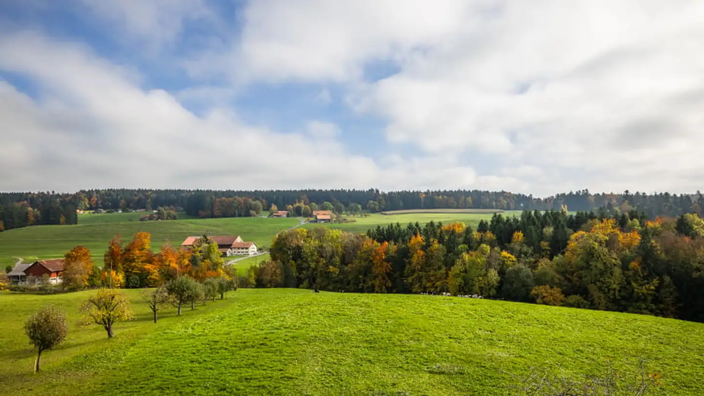 Appartement à vendre - 1699 Porsel - Photo 3