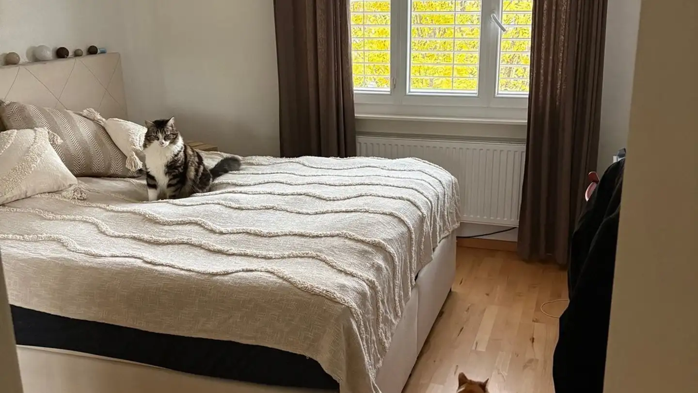 Appartamento in affitto - 1615 Bossonnens - Photo 3