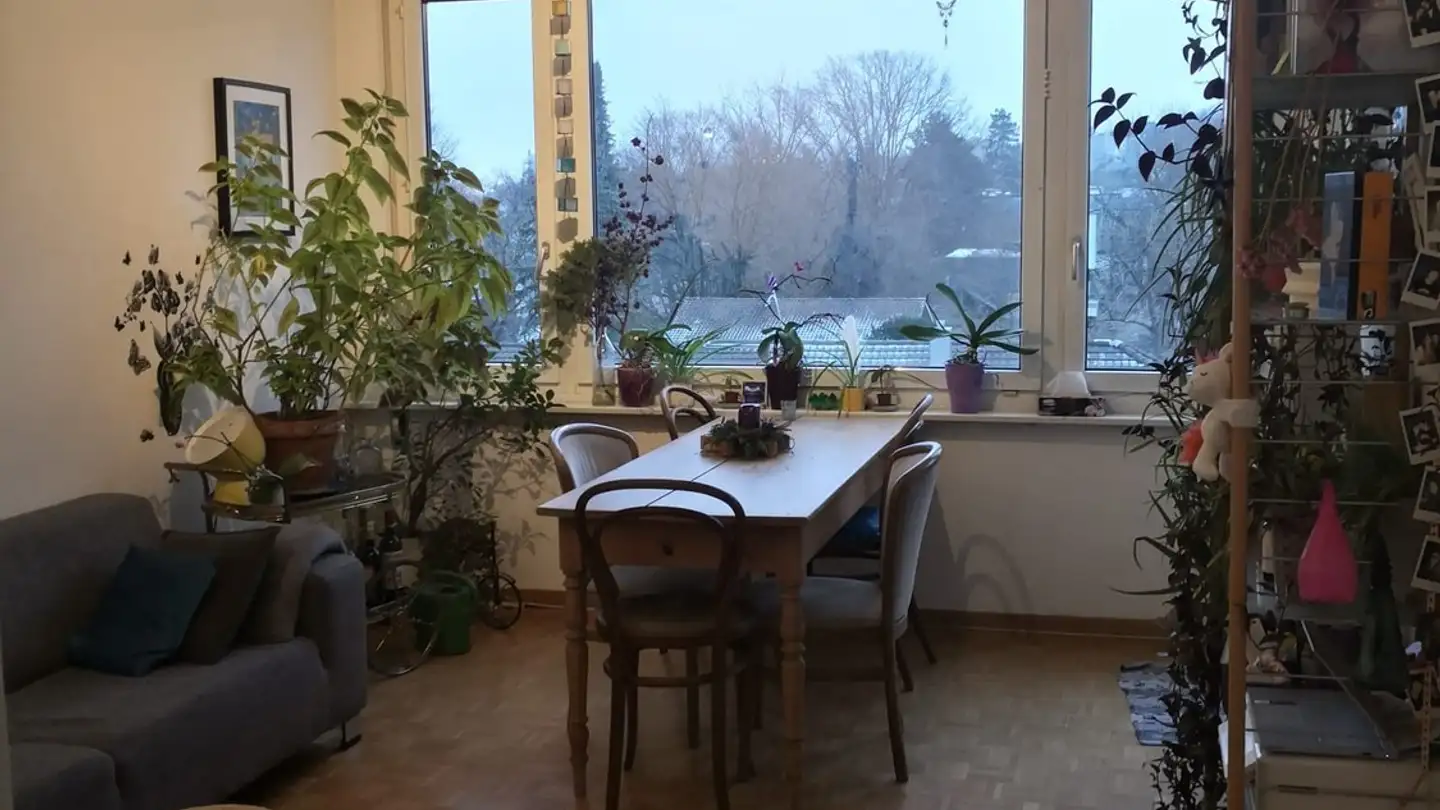 Stanza singola in affitto - 8055 Zürich