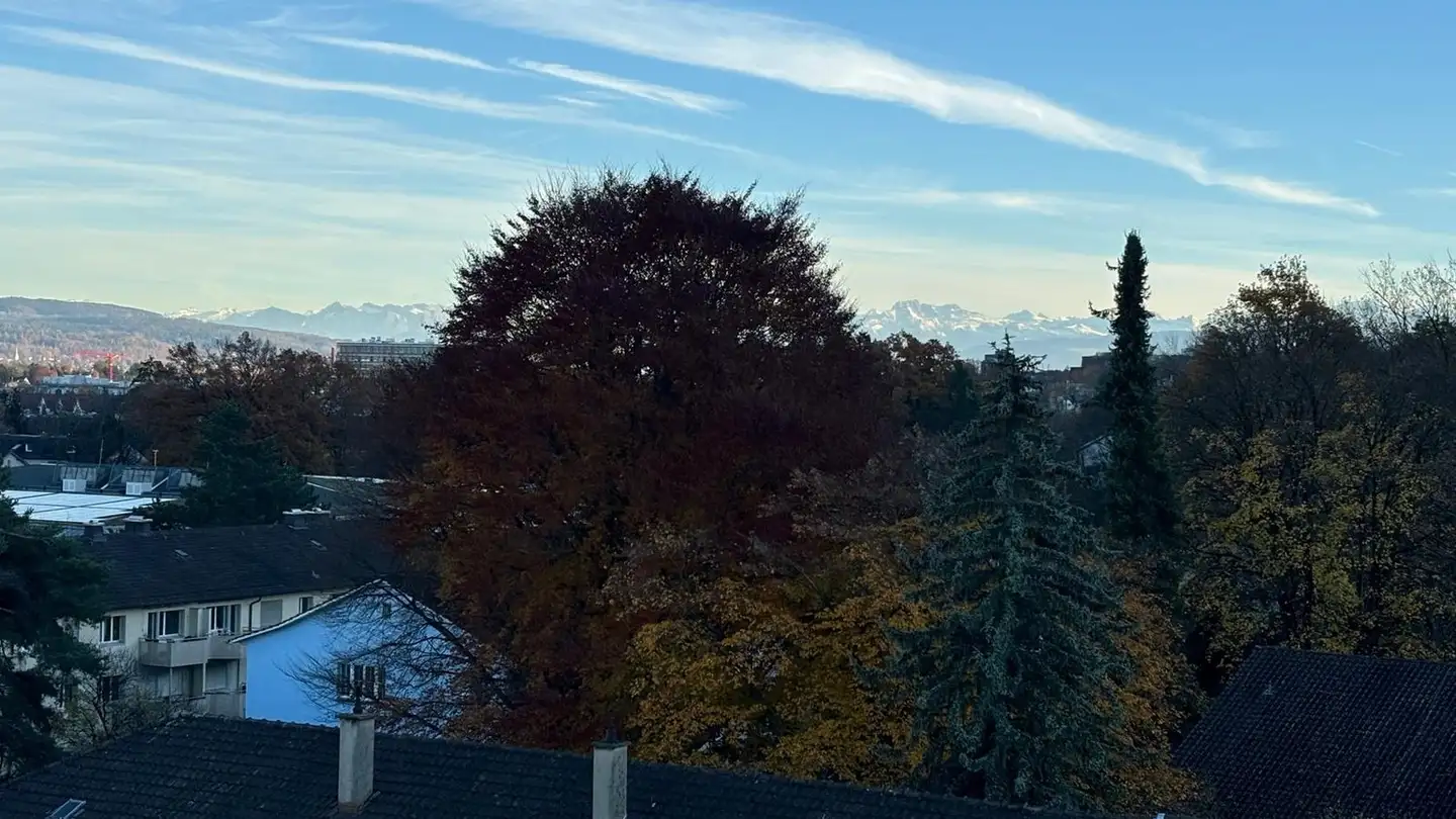 Stanza singola in affitto - 8055 Zürich - Foto 4