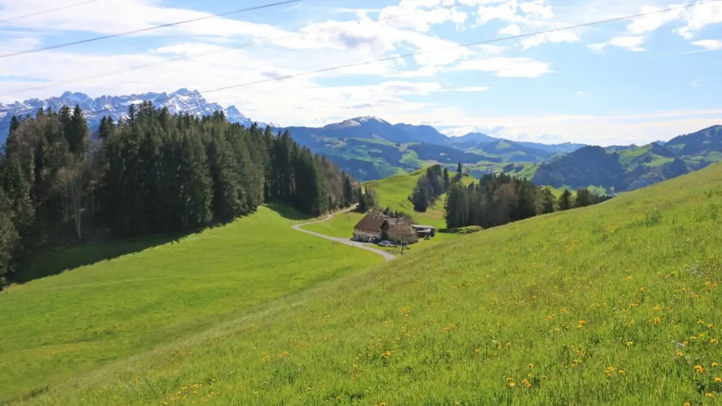 Terreno edificabile in vendita - Brenden, 9050 Appenzell Meistersrüte - Photo 3