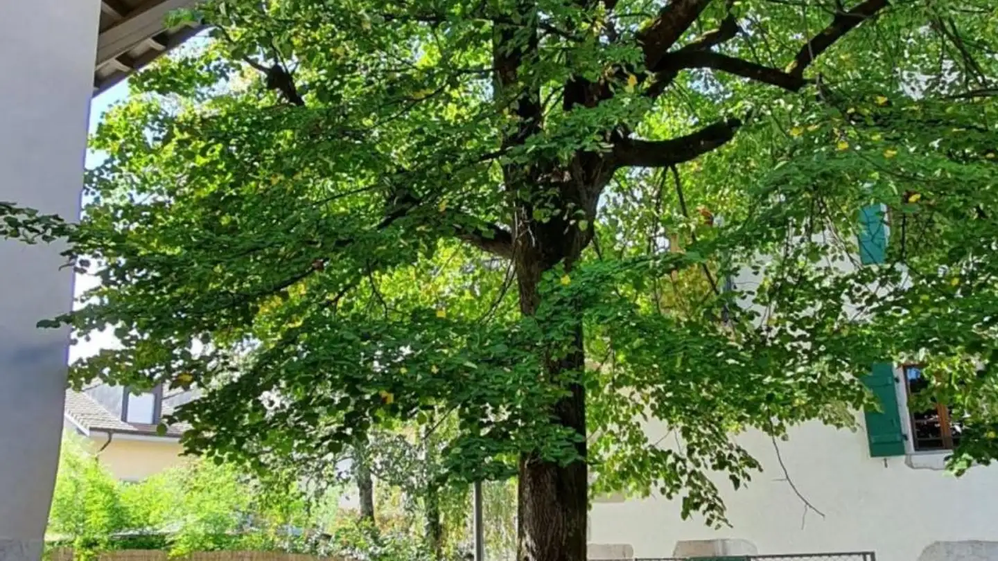 Villa à vendre - 1217 Meyrin - Photo 4