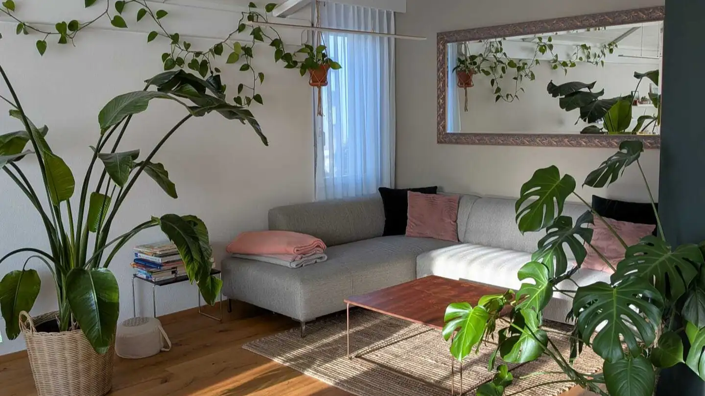 Appartement meublé à louer - 6017 Ruswil