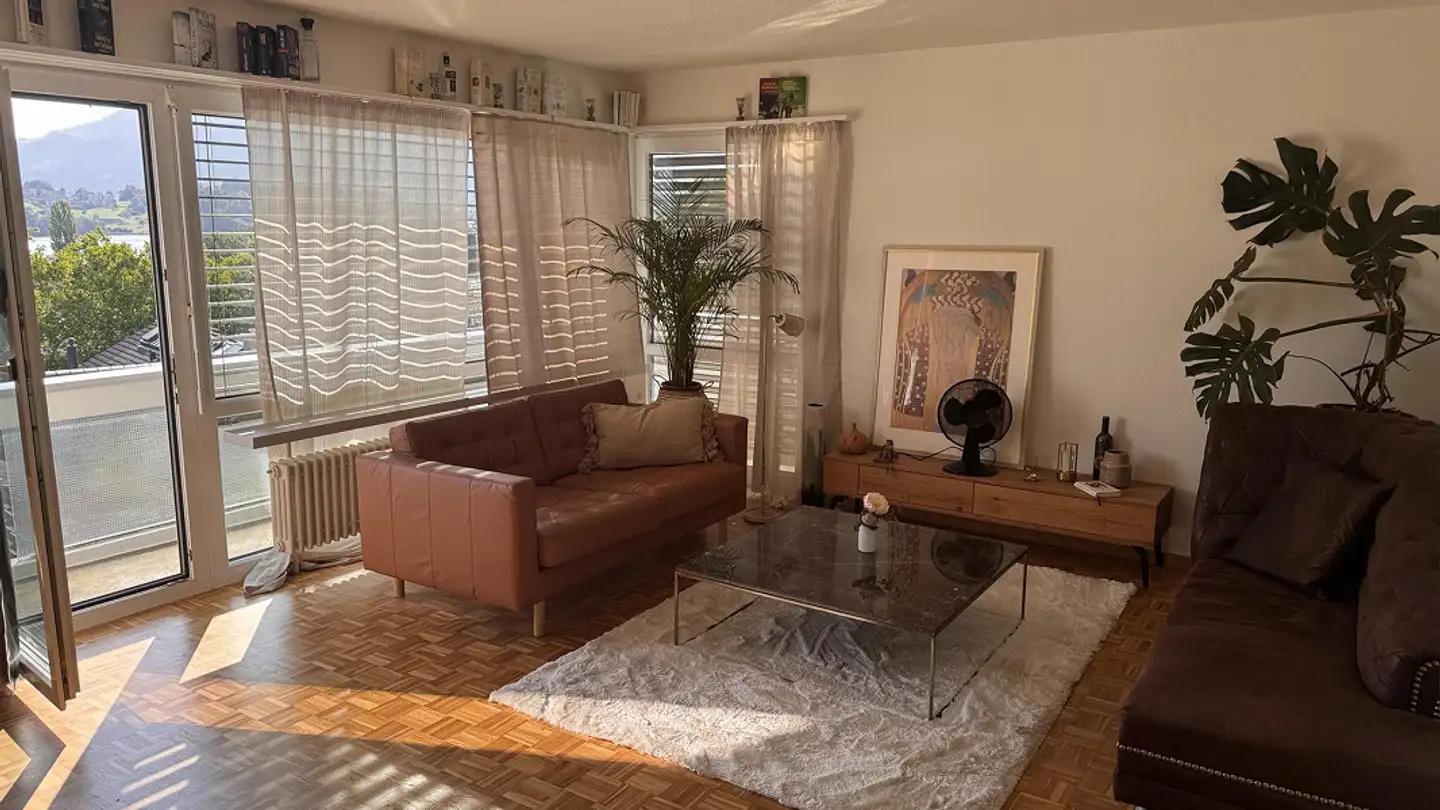 Appartamento in affitto - Hirtenhofstrasse, 6005 Luzern