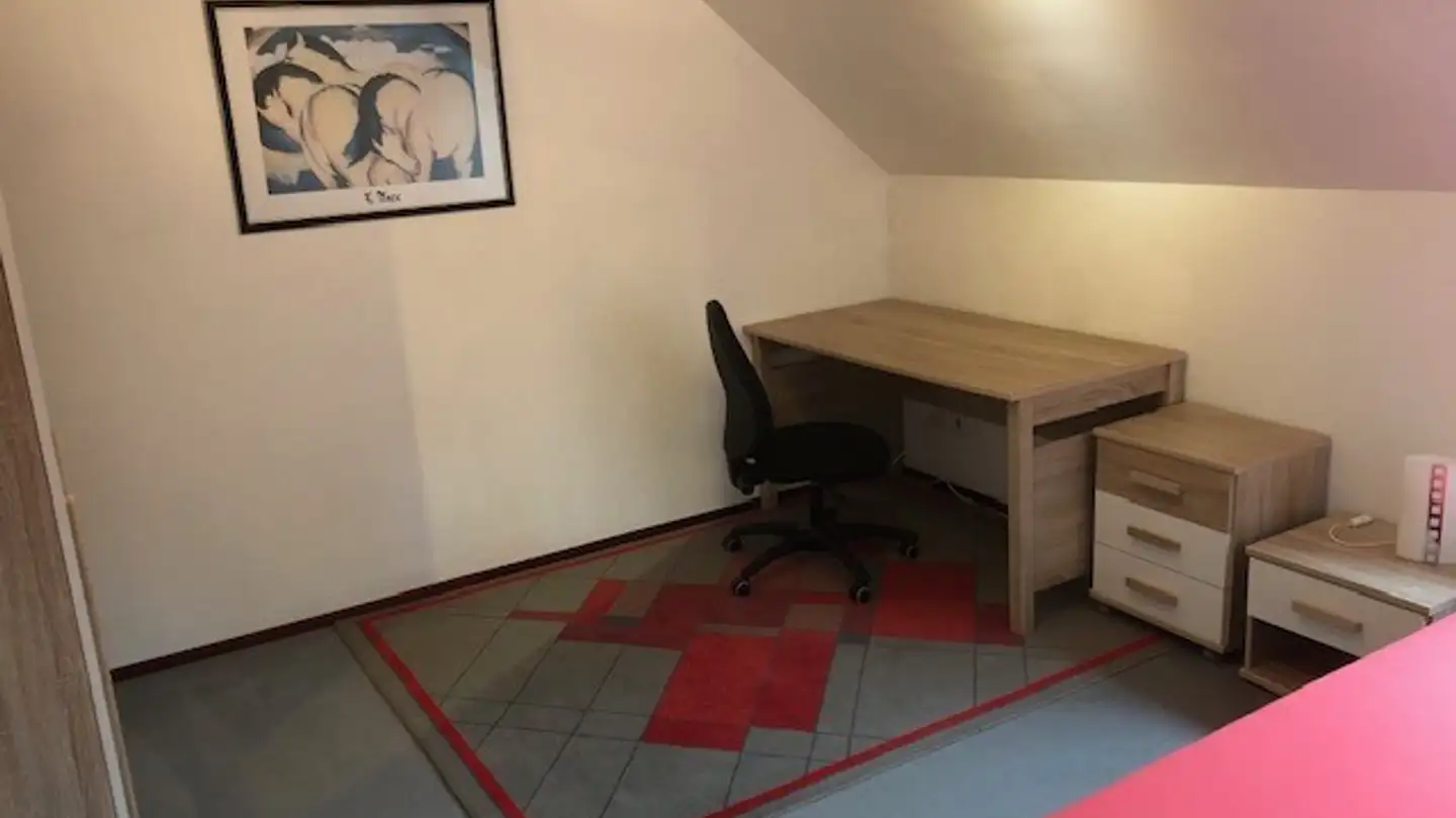 Stanza singola in affitto - Kirchweg 8, 5306 Tegerfelden - Photo 3