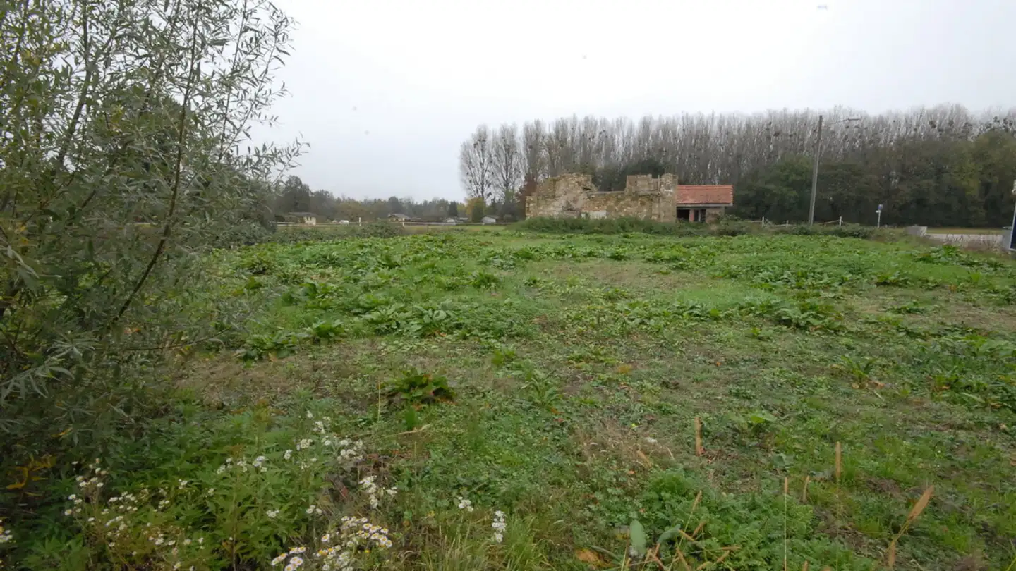 Bien immobilier à vendre - Chemin Du Bey 2, 1580 Avenches - Photo 4