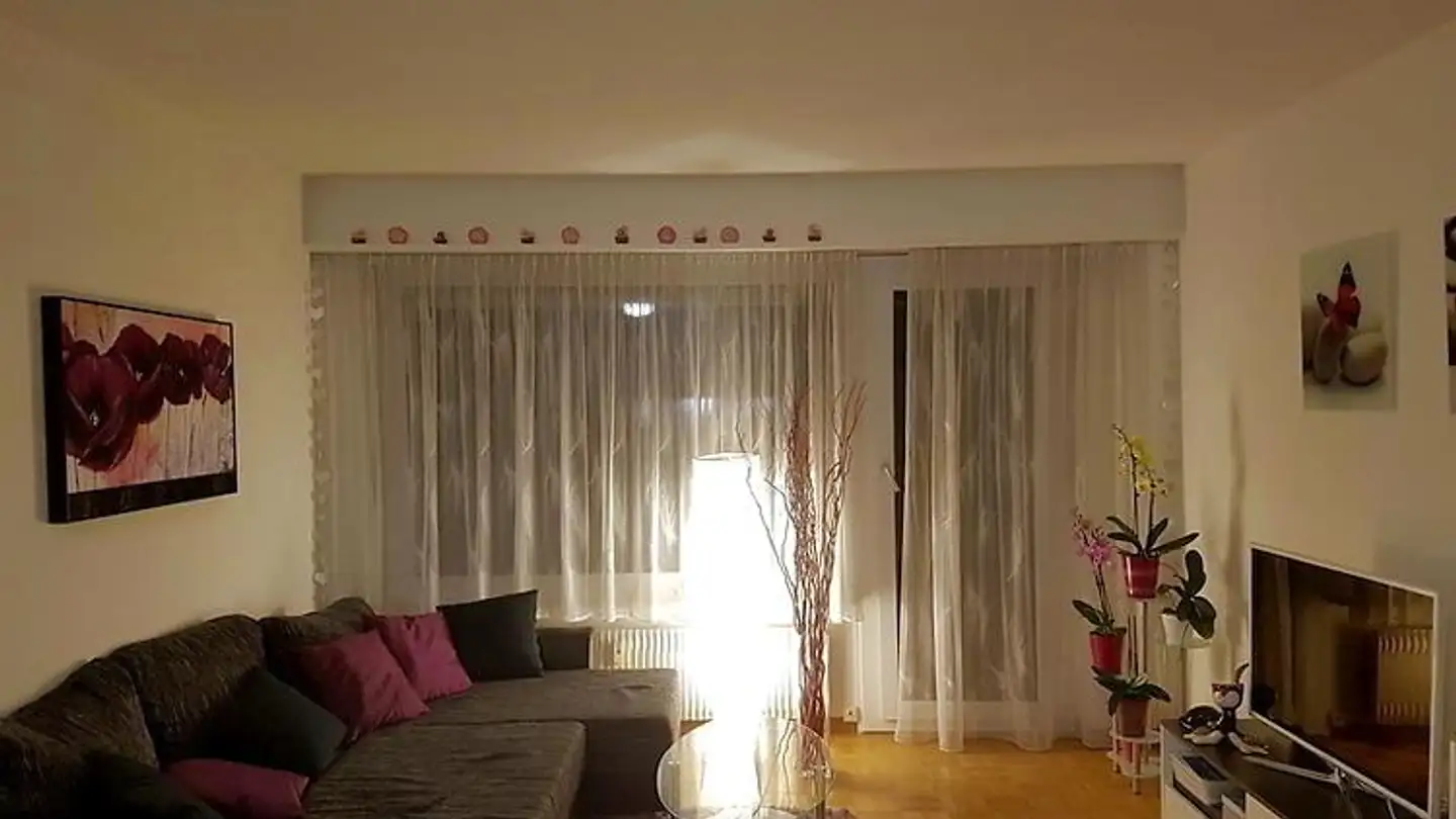 Furnished apartment for rent - 2557 Studen BE - Photo 2